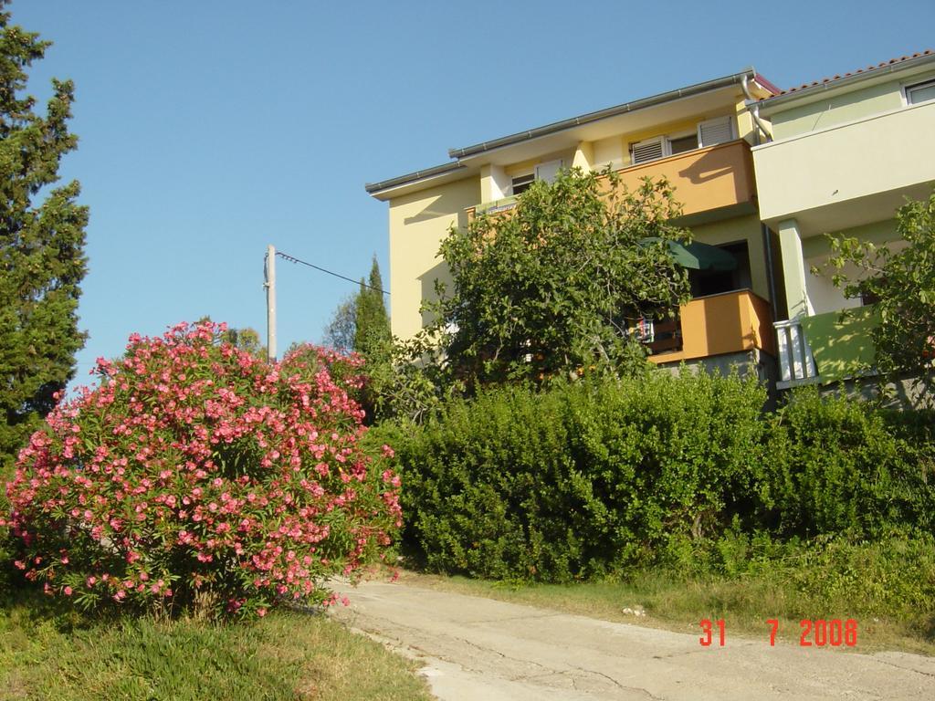 Apartments Prahovic Ždrelac エクステリア 写真